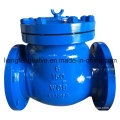 Swing Type Check Valve Flanged Ends